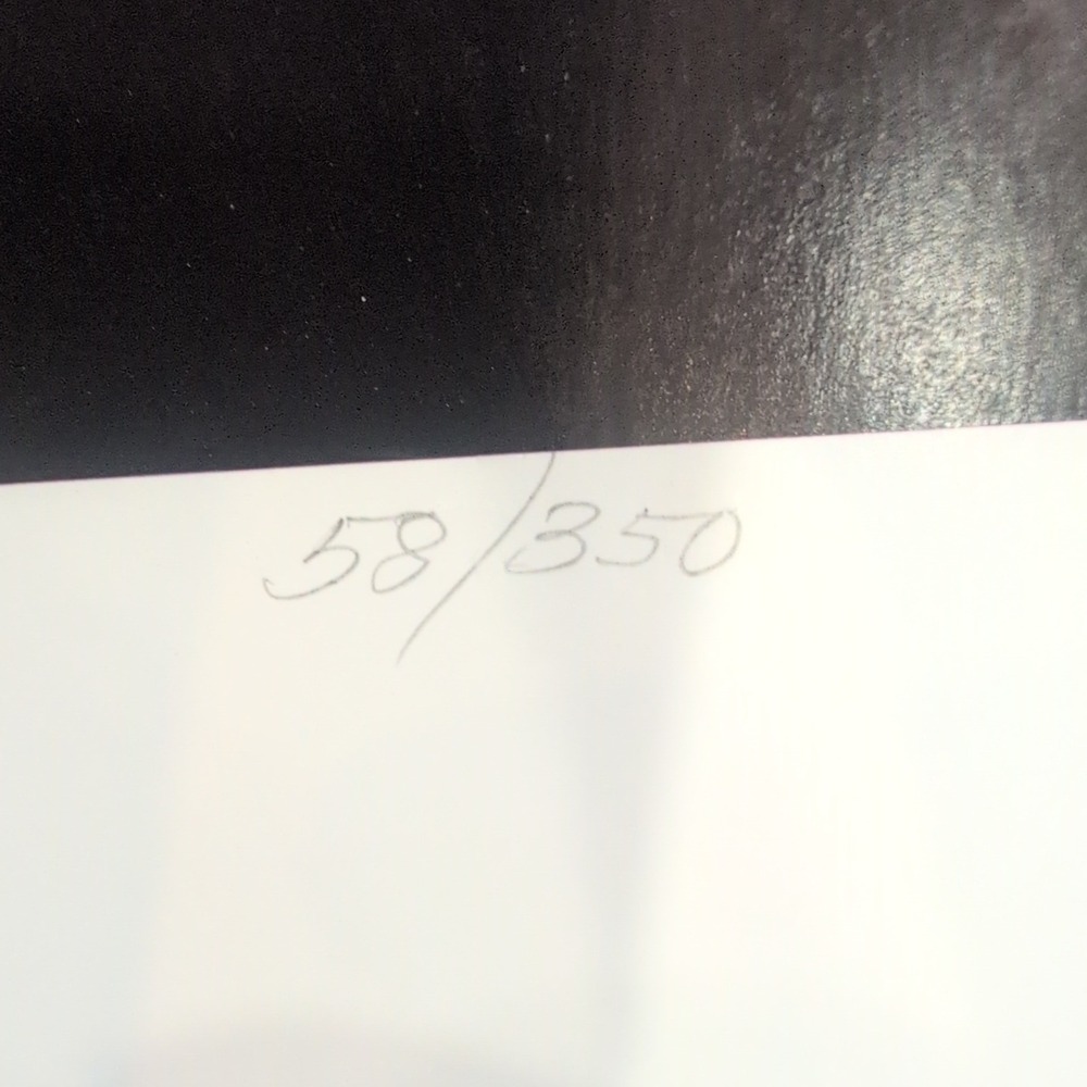 Sonia Torres Limited Edition Numbered, Signed Arabian Front Horse Artist's Print - Picture 6 of 8